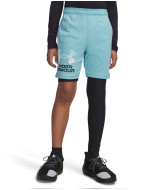 Pantaloni scurti Barbati TECH LOGO SHORTS Under Armour 