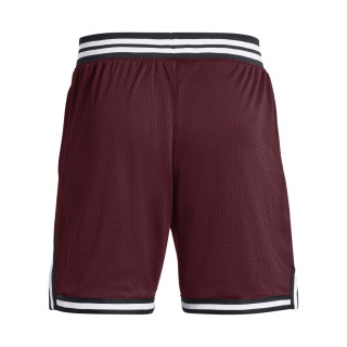 Pantaloni scurti Barbati CURRY MESH SHORT 3 Under Armour 