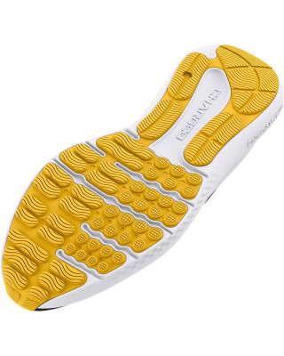 Pantofi Sport Barbati CHARGED SURGE 4 Under Armour
