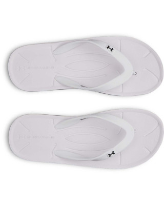 Slapi Dama SARASOTA Under Armour 