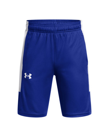 Pantaloni scurti Baieti BASELINE SHORT Under Armour 