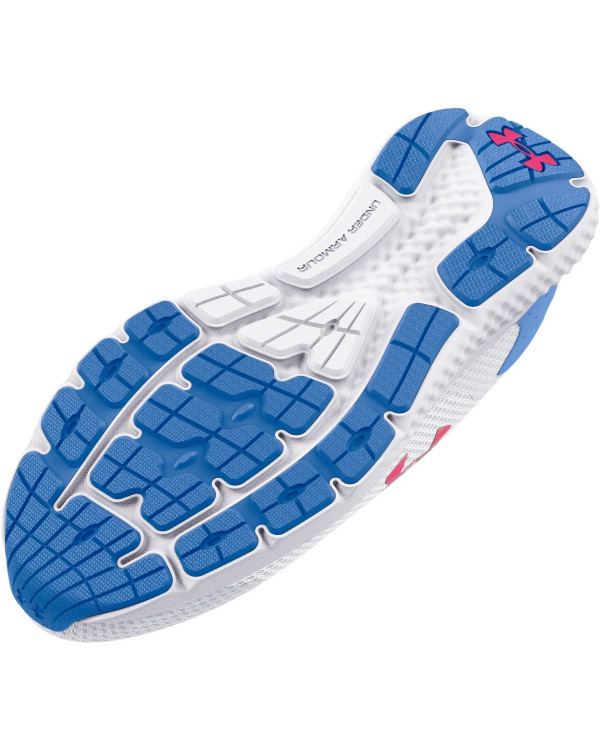 Pantofi Sport Dama CHARGED ROGUE 3 IRID Under Armour 