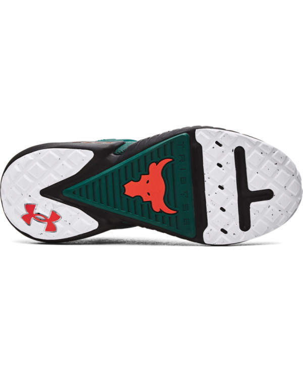 Pantofi Sport Unisex PROJECT ROCK 5 305 Under Armour 
