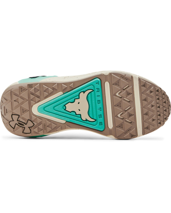 Pantofi Sport Dama PROJECT ROCK 6 Under Armour 
