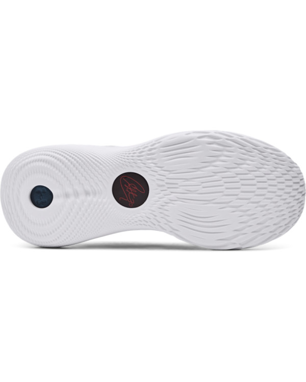 Ghete Baschet Unisex CURRY 11 CHAMPION MINDSET Under Armour 