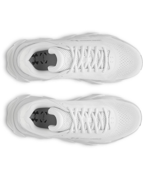 Pantofi sport Barbati HALO RUNNER Under Armour 