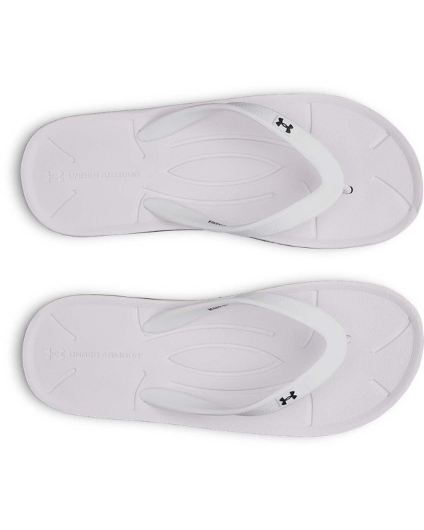 Slapi Dama SARASOTA Under Armour 